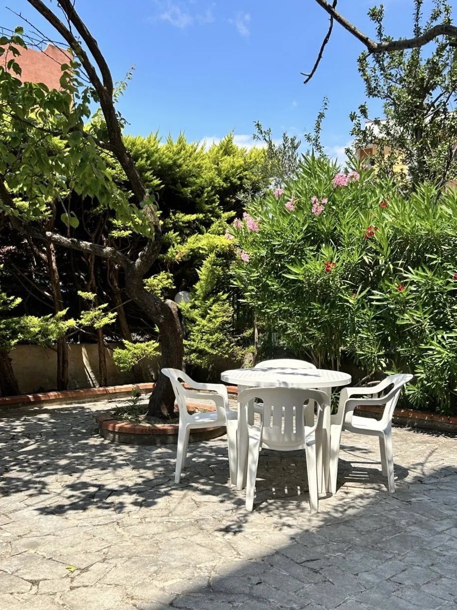 The garden with grown trees, flowering oleander and a paved seating area