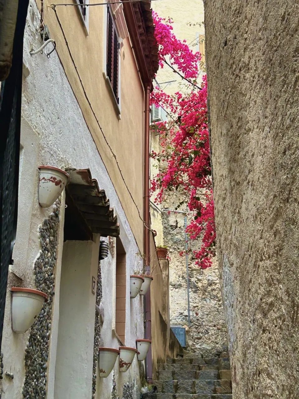 The old town three kilometres away: bougainvillea over a lane